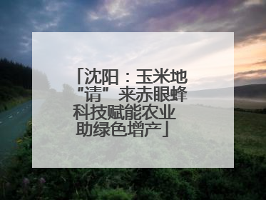 沈阳：玉米地“请”来赤眼蜂 科技赋能农业助绿色增产