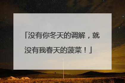 没有你冬天的调解，就没有我春天的菠菜！