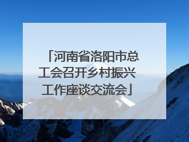 河南省洛阳市总工会召开乡村振兴工作座谈交流会