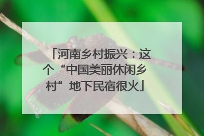 河南乡村振兴：这个“中国美丽休闲乡村”地下民宿很火