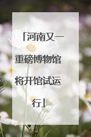 河南又一重磅博物馆将开馆试运行