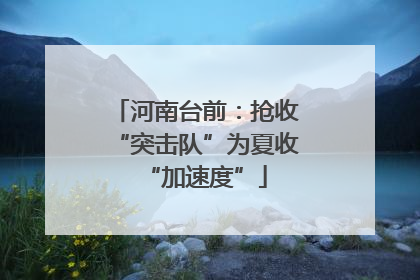 河南台前：抢收“突击队”为夏收“加速度”
