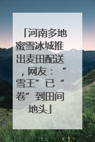 河南多地蜜雪冰城推出麦田配送，网友：“雪王”已“卷”到田间地头