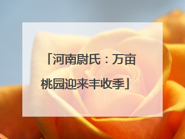 河南尉氏：万亩桃园迎来丰收季