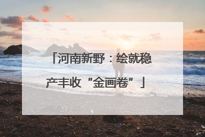 河南新野：绘就稳产丰收“金画卷”