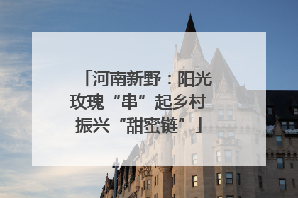 河南新野：阳光玫瑰“串”起乡村振兴“甜蜜链”