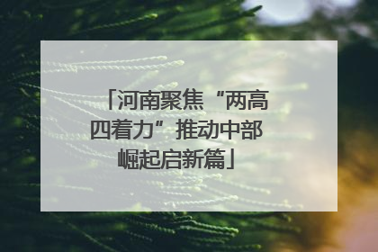 河南聚焦“两高四着力”推动中部崛起启新篇