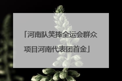 河南队笑捧全运会群众项目河南代表团首金