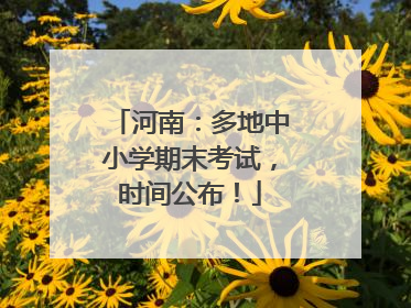 河南：多地中小学期末考试，时间公布！