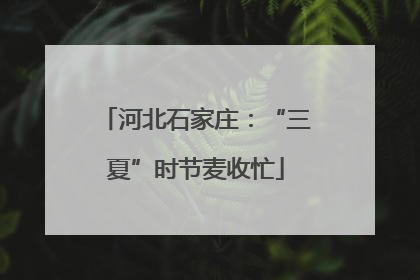 河北石家庄：“三夏”时节麦收忙