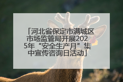 河北省保定市满城区市场监管局开展2025年“安全生产月”集中宣传咨询日活动