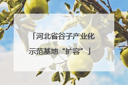 河北省谷子产业化示范基地“扩容”