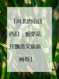 河北唐山迁西县：板栗花开飘香文旅新画卷