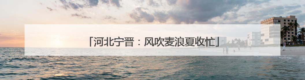河北宁晋：风吹麦浪夏收忙