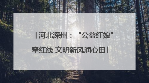 河北深州：“公益红娘”牵红线 文明新风润心田