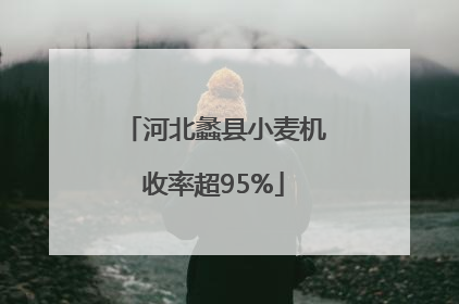 河北蠡县小麦机收率超95%