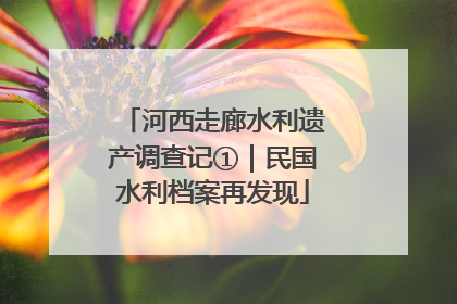 河西走廊水利遗产调查记①｜民国水利档案再发现