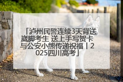 泸州民警连续3天背送崴脚考生 送上手写贺卡与公安小熊传递祝福丨2025四川高考