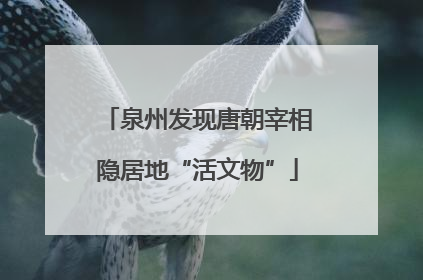 泉州发现唐朝宰相隐居地“活文物”