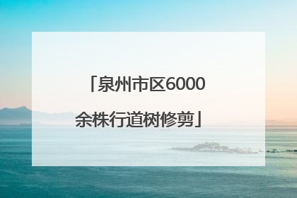泉州市区6000余株行道树修剪