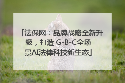 法保网：品牌战略全新升级，打造 G-B-C全场景AI法律科技新生态