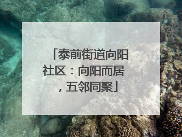 泰前街道向阳社区：向阳而居，五邻同聚