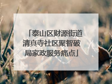泰山区财源街道清真寺社区聚智破局家政服务痛点