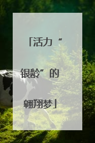 活力“银龄”的翱翔梦
