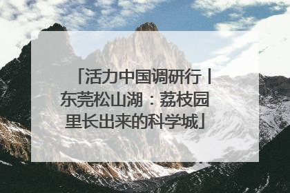 活力中国调研行丨东莞松山湖：荔枝园里长出来的科学城