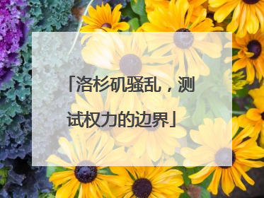 洛杉矶骚乱，测试权力的边界