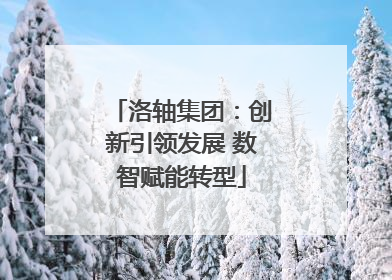 洛轴集团：创新引领发展 数智赋能转型
