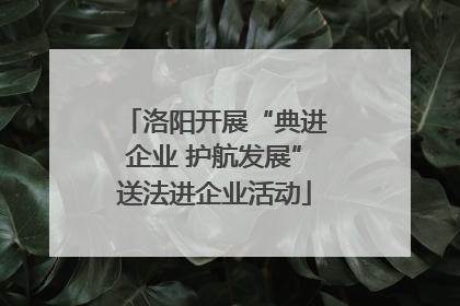 洛阳开展“典进企业 护航发展”送法进企业活动