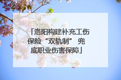 洛阳构建补充工伤保险“双轨制” 兜底职业伤害保障