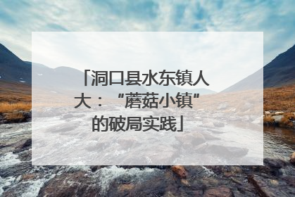 洞口县水东镇人大：“蘑菇小镇”的破局实践