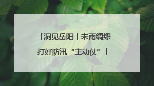 洞见岳阳丨未雨绸缪 打好防汛“主动仗”