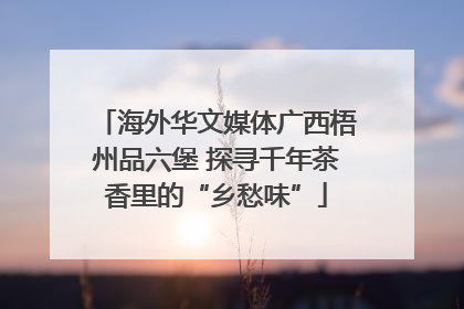 海外华文媒体广西梧州品六堡 探寻千年茶香里的“乡愁味”