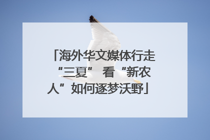 海外华文媒体行走“三夏” 看“新农人”如何逐梦沃野