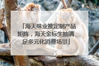 海天味业推定制产品矩阵，海天金标生抽满足多元化消费场景