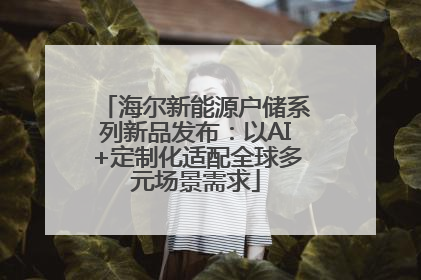 海尔新能源户储系列新品发布：以AI+定制化适配全球多元场景需求