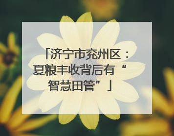 济宁市兖州区：夏粮丰收背后有“智慧田管”