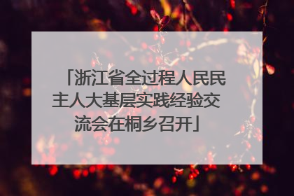 浙江省全过程人民民主人大基层实践经验交流会在桐乡召开