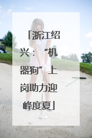 浙江绍兴：“机器狗”上岗助力迎峰度夏