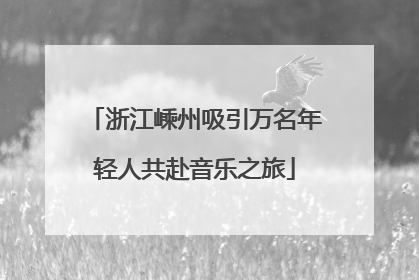 浙江嵊州吸引万名年轻人共赴音乐之旅