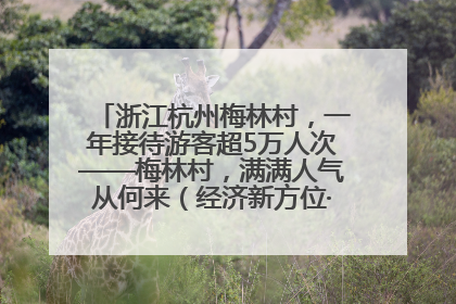 浙江杭州梅林村，一年接待游客超5万人次——梅林村，满满人气从何来（经济新方位·农村消费观察）