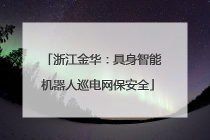 浙江金华：具身智能机器人巡电网保安全