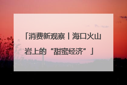 消费新观察丨海口火山岩上的“甜蜜经济”
