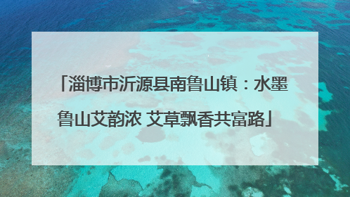淄博市沂源县南鲁山镇：水墨鲁山艾韵浓 艾草飘香共富路