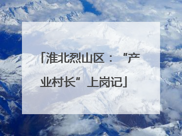 淮北烈山区：“产业村长”上岗记