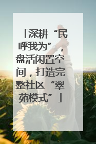 深耕“民呼我为”，盘活闲置空间，打造完整社区“翠苑模式”