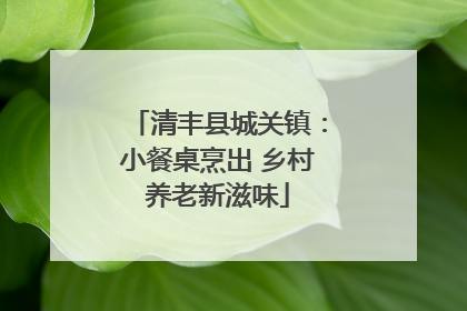 清丰县城关镇：小餐桌烹出 乡村养老新滋味